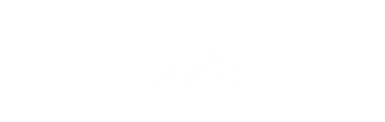 Parceiro 20