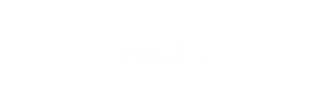 Parceiro 9